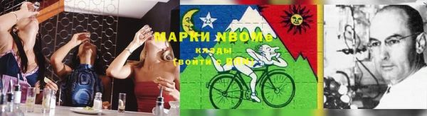 дмт Аркадак