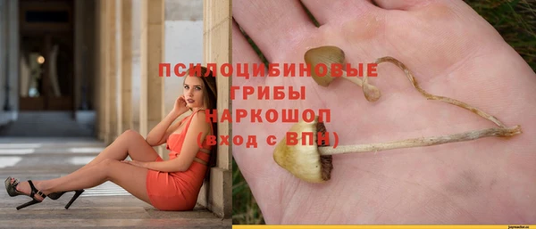 амф Армянск