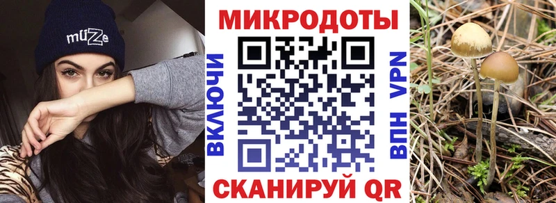 Галлюциногенные грибы GOLDEN TEACHER  как найти наркотики  маркетплейс наркотические препараты  Павловский Посад 